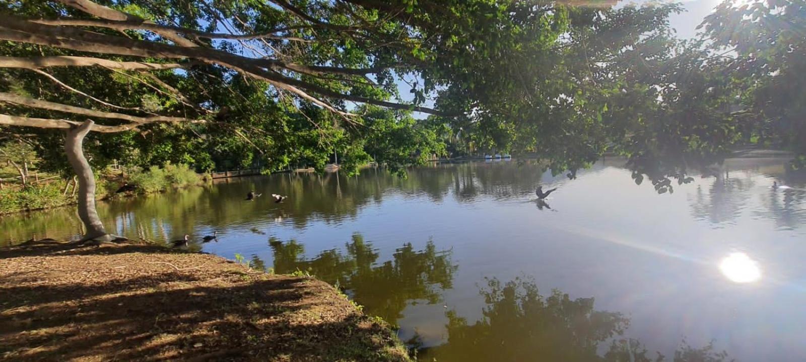 Canto De Roca Turismo E Lazer Mimoso do Sul Eksteriør billede
