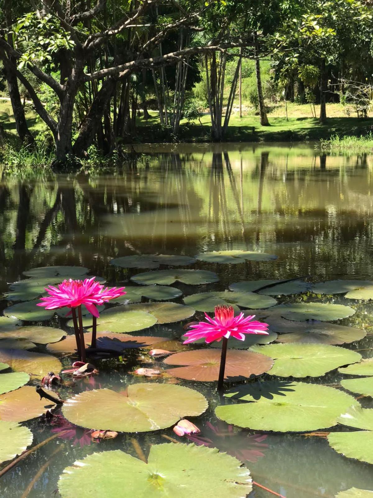 Canto De Roca Turismo E Lazer Mimoso do Sul Eksteriør billede