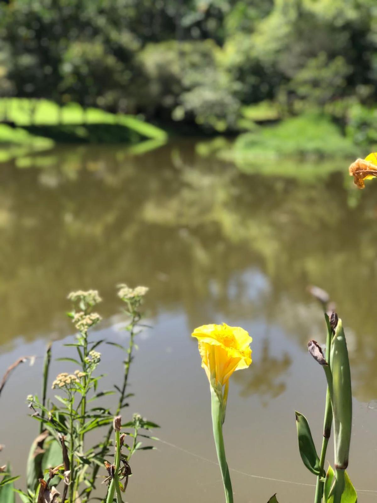 Canto De Roca Turismo E Lazer Mimoso do Sul Eksteriør billede