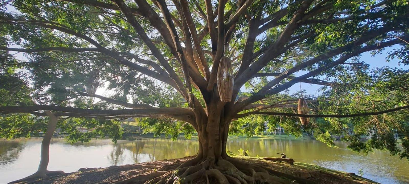Canto De Roca Turismo E Lazer Mimoso do Sul Eksteriør billede